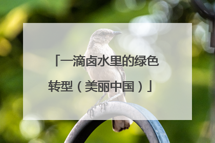 一滴卤水里的绿色转型（美丽中国）