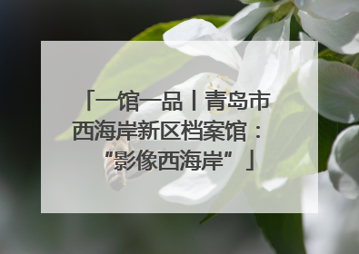 一馆一品丨青岛市西海岸新区档案馆：“影像西海岸”
