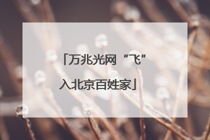 万兆光网“飞”入北京百姓家