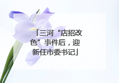 三河“店招改色”事件后，迎新任市委书记