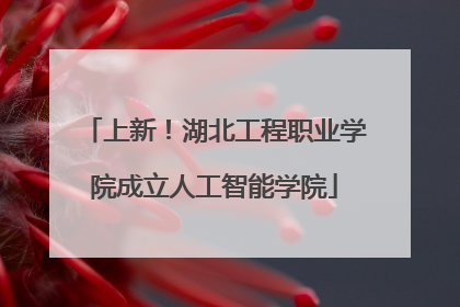 上新！湖北工程职业学院成立人工智能学院