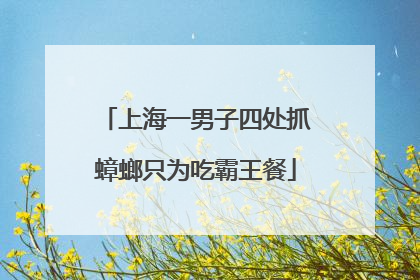 上海一男子四处抓蟑螂只为吃霸王餐