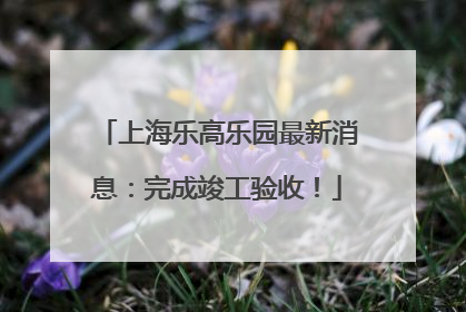 上海乐高乐园最新消息：完成竣工验收！