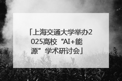 上海交通大学举办2025高校“AI+能源”学术研讨会