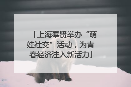 上海奉贤举办“萌娃社交”活动，为青春经济注入新活力