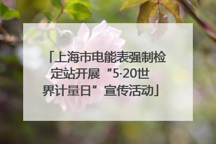 上海市电能表强制检定站开展“5·20世界计量日”宣传活动
