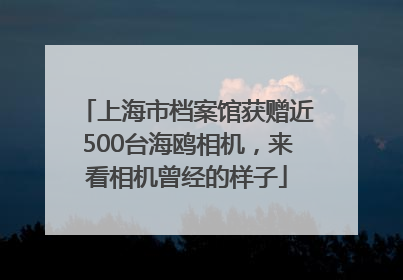 上海市档案馆获赠近500台海鸥相机，来看相机曾经的样子
