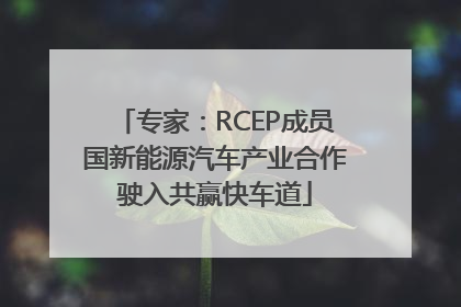 专家：RCEP成员国新能源汽车产业合作驶入共赢快车道