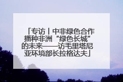 专访丨中非绿色合作播种非洲“绿色长城”的未来——访毛里塔尼亚环境部长拉格达夫