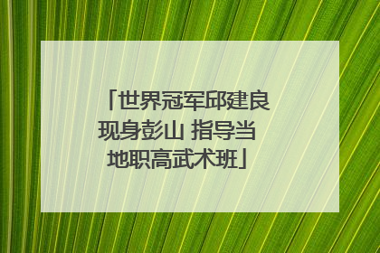 世界冠军邱建良现身彭山 指导当地职高武术班