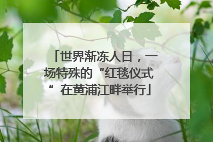 世界渐冻人日，一场特殊的“红毯仪式”在黄浦江畔举行