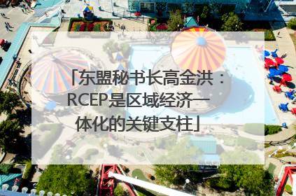 东盟秘书长高金洪：RCEP是区域经济一体化的关键支柱