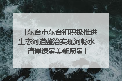 东台市东台镇积极推进生态河道整治实现河畅水清岸绿景美新愿景