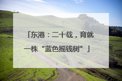 东港：二十载，育就一株“蓝色摇钱树”