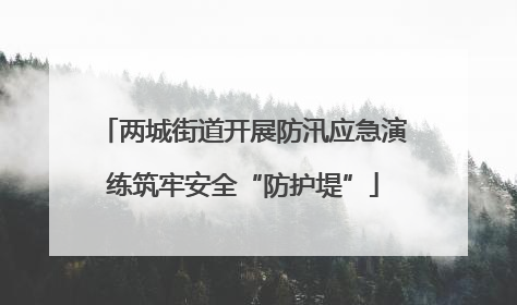 两城街道开展防汛应急演练筑牢安全“防护堤”