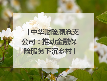 中华财险澜沧支公司：推动金融保险服务下沉乡村