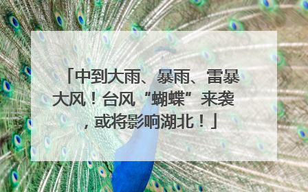 中到大雨、暴雨、雷暴大风！台风“蝴蝶”来袭，或将影响湖北！