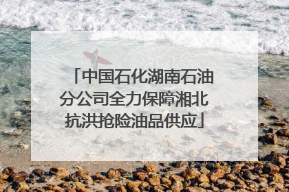 中国石化湖南石油分公司全力保障湘北抗洪抢险油品供应