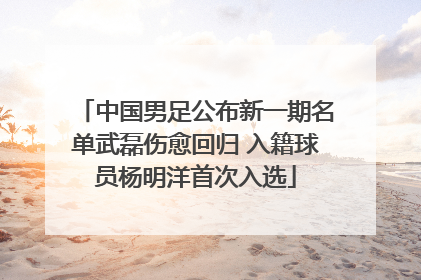 中国男足公布新一期名单武磊伤愈回归 入籍球员杨明洋首次入选