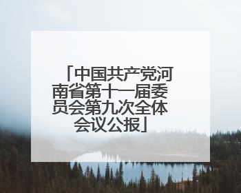 中国共产党河南省第十一届委员会第九次全体会议公报