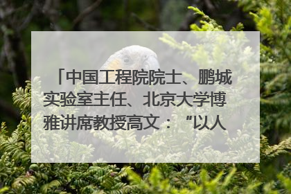 中国工程院院士、鹏城实验室主任、北京大学博雅讲席教授高文：“以人为本 智能向善” 推动文化与科技相生相促｜聚焦2025文化强国建设高峰论坛
