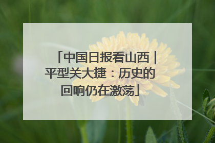 中国日报看山西｜平型关大捷：历史的回响仍在激荡