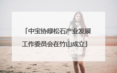 中宝协绿松石产业发展工作委员会在竹山成立
