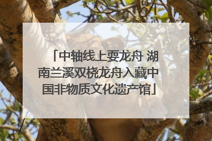中轴线上耍龙舟 湖南兰溪双桡龙舟入藏中国非物质文化遗产馆