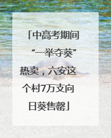 中高考期间“一举夺葵”热卖，六安这个村7万支向日葵售罄