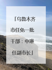 乌鲁木齐市任免一批干部：申琳任副市长