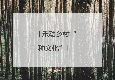 乐动乡村“种文化”