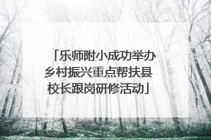 乐师附小成功举办乡村振兴重点帮扶县校长跟岗研修活动