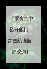 乘客空中欲开舱门 跨国航班被迫改道