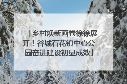 乡村焕新画卷徐徐展开！谷城石花镇中心公园奋进建设初显成效