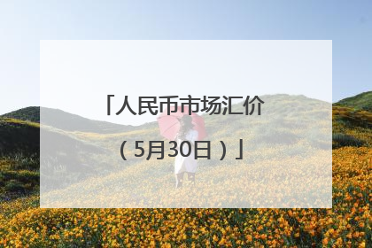 人民币市场汇价（5月30日）