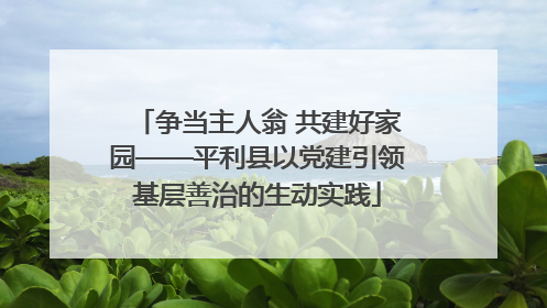争当主人翁 共建好家园——平利县以党建引领基层善治的生动实践