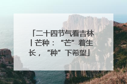 二十四节气看吉林丨芒种：“芒”着生长，“种”下希望