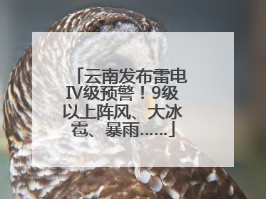 云南发布雷电Ⅳ级预警！9级以上阵风、大冰雹、暴雨……
