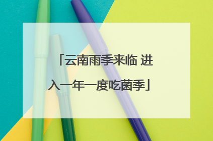 云南雨季来临 进入一年一度吃菌季
