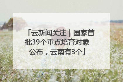 云新闻关注｜国家首批39个重点培育对象公布，云南有3个