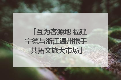 互为客源地 福建宁德与浙江温州携手共拓文旅大市场