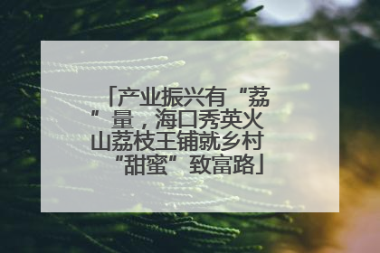 产业振兴有“荔”量，海口秀英火山荔枝王铺就乡村“甜蜜”致富路