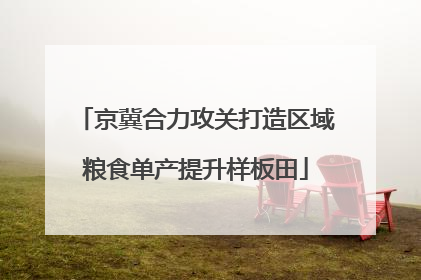 京冀合力攻关打造区域粮食单产提升样板田