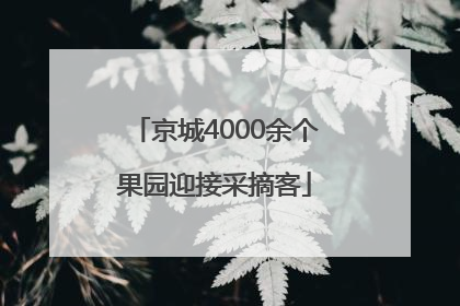 京城4000余个果园迎接采摘客