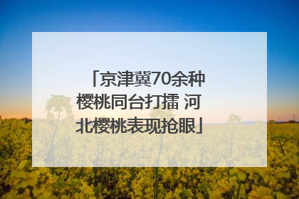 京津冀70余种樱桃同台打擂 河北樱桃表现抢眼