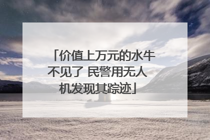 价值上万元的水牛不见了 民警用无人机发现其踪迹
