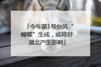 今年第1号台风“蝴蝶”生成，或将对湖北产生影响