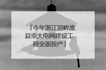今年浙江迎峰度夏重大电网建设工程全面投产