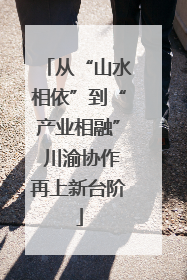 从“山水相依”到“产业相融” 川渝协作再上新台阶