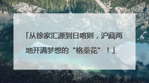 从徐家汇源到日喀则，沪藏两地开满梦想的“格桑花”！